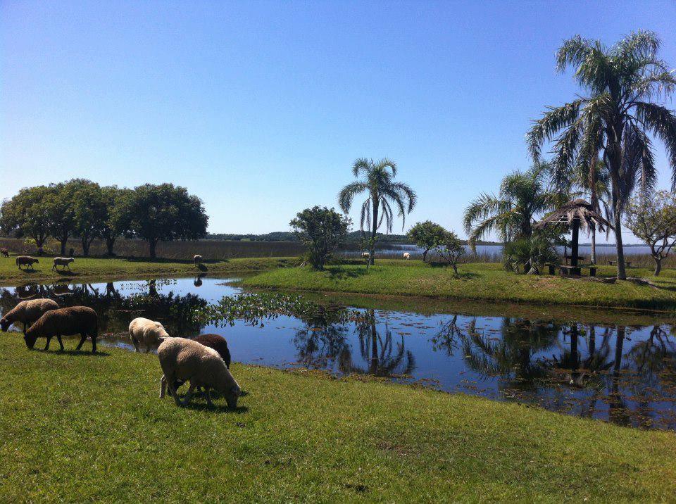 Fazenda Pontal Pousada E Resort Capão da Canoa Εξωτερικό φωτογραφία